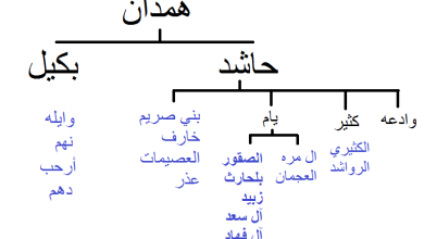 قبيلة الصيعري وش يرجعون