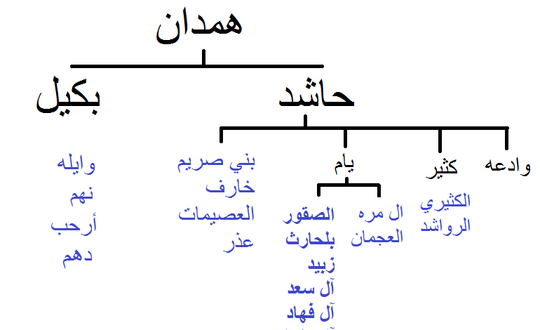 قبيلة الصيعري وش يرجعون