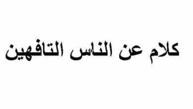 كلام عن الناس التافهين