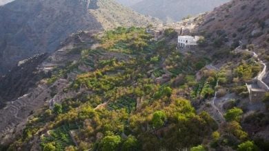 كم يبلغ ارتفاع الجبل الأخضر في عمان