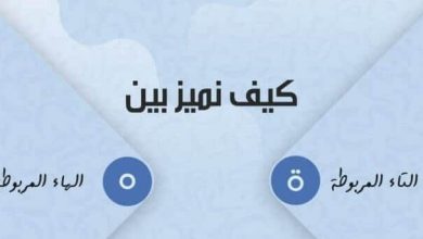 متى تكتب التاء المربوطة والهاء