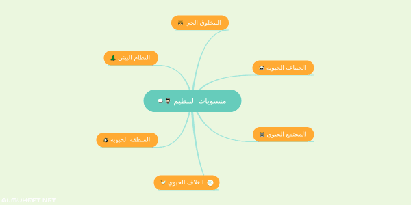 مستويات التنظيم في المخلوقات الحية