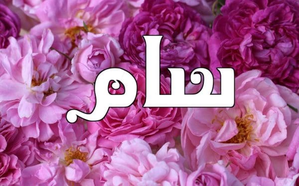 معنى اسم سام في الإسلام