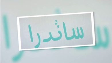 معنى اسم ساندرا