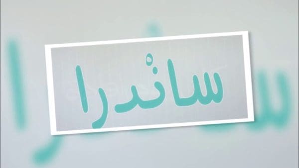 معنى اسم ساندرا