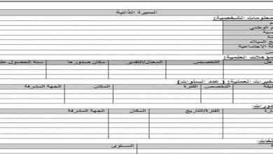 نموذج سيرة ذاتية إنجليزي فارغ جاهز للتعبئة وورد وPDF 2024