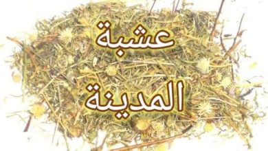 هل عشبة المدينة تسقط الجنين الحي