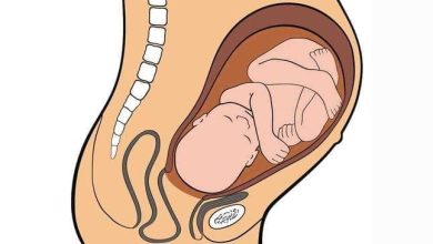 هل يرتفع الجنين بعد نزوله الحوض